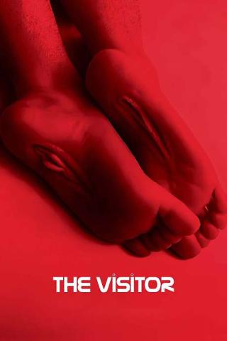 poster_TheVisitor