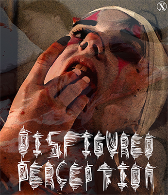 Disfigured Perception