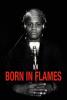 poster_Born in Flames 
